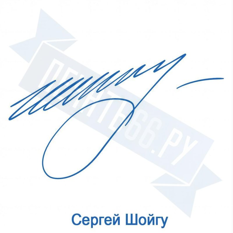 Автограф Шойгу
