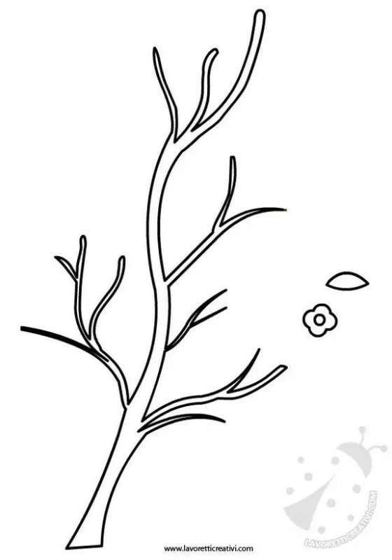 Веточка без листочков