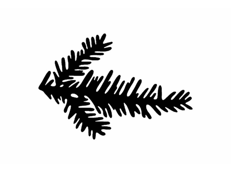 Еловые веточки тату