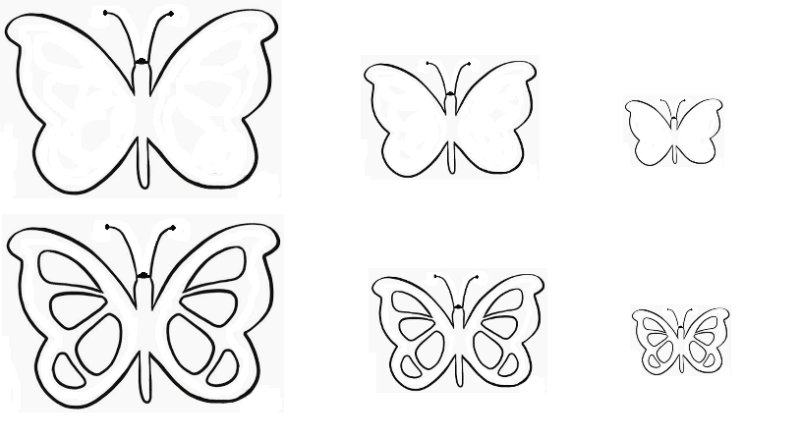 Трафареты бабочки
