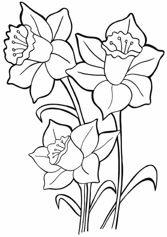 Цветы. Раскраска