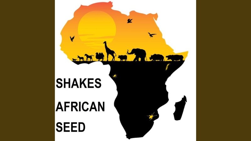 Африка материк