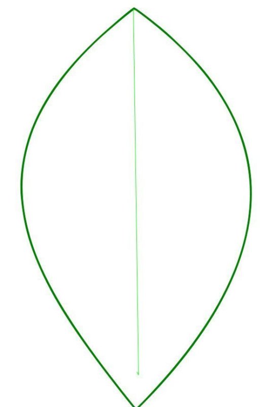 Трафарет лепестков для вырезания