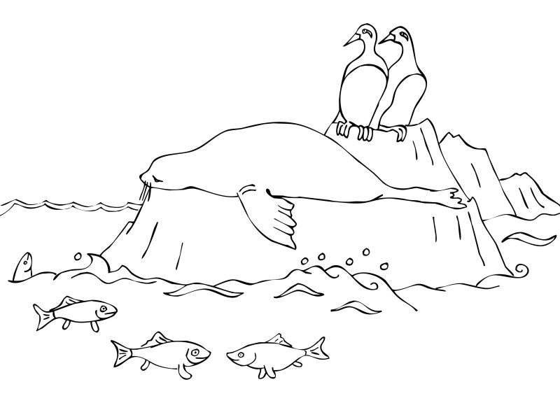 Раскраски животные Арктики и Антарктики для детей