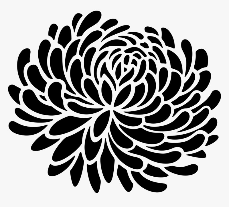 Хризантема Нордштерн