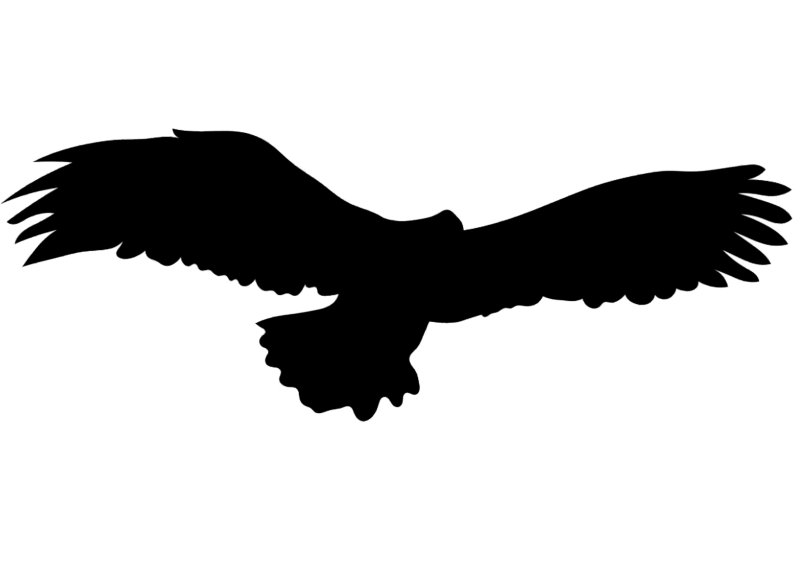 Силуэты хищных птиц для отпугивания
