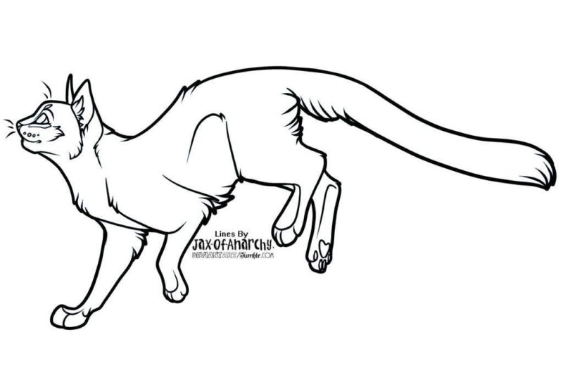 Коты Воители лайн в полный рост