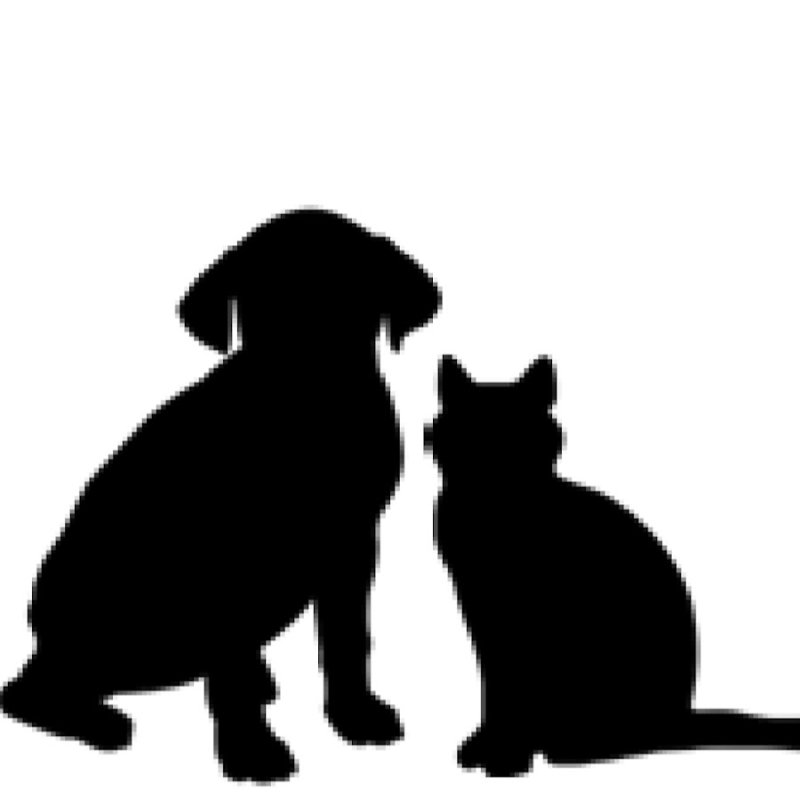Силуэт кошки и собаки
