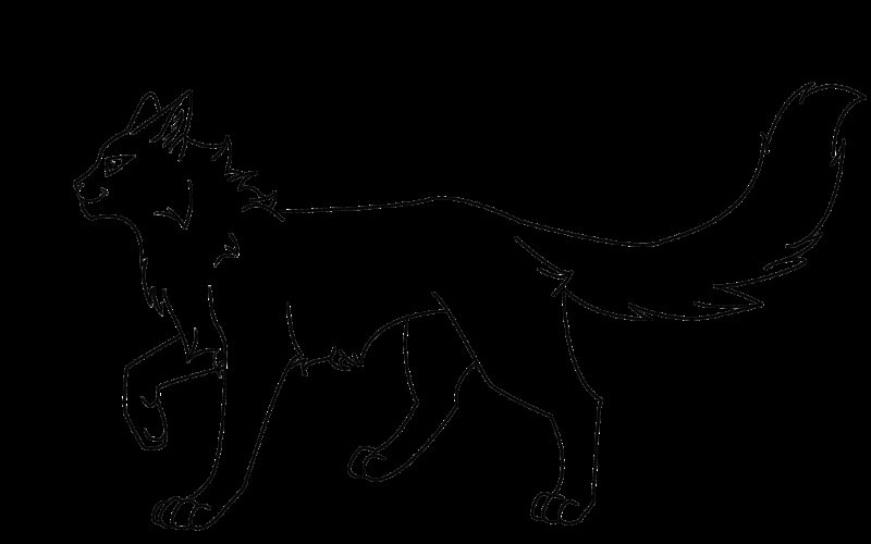 Лайн для рисования коты Воители