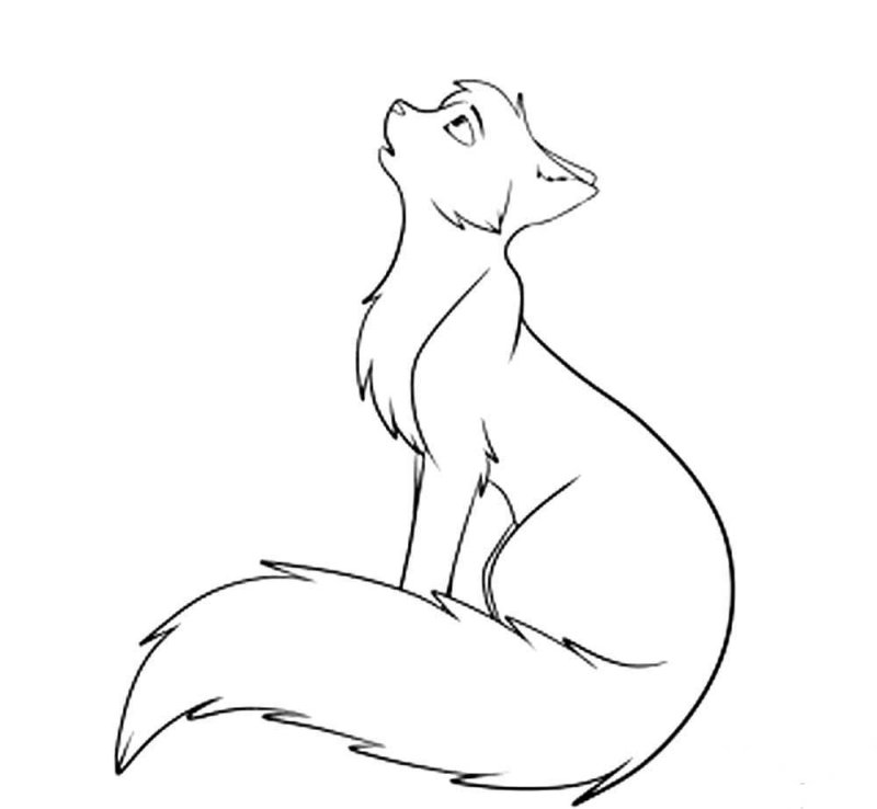 Паскраски котов Воители