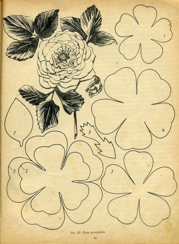 Лекало для цветов из кожи