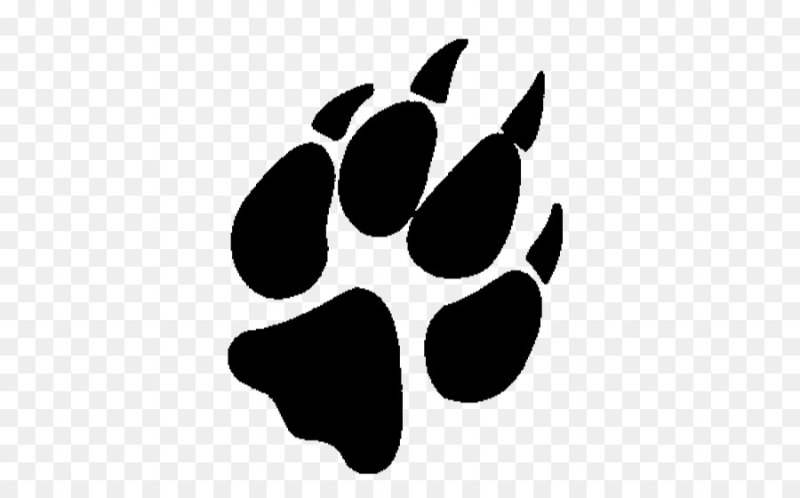 Отпечаток лапы волка