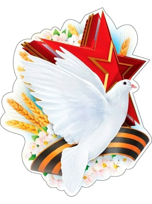 День Победы голуби