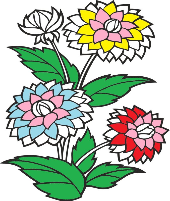 Астра трафарет