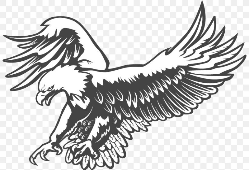 Орел контур