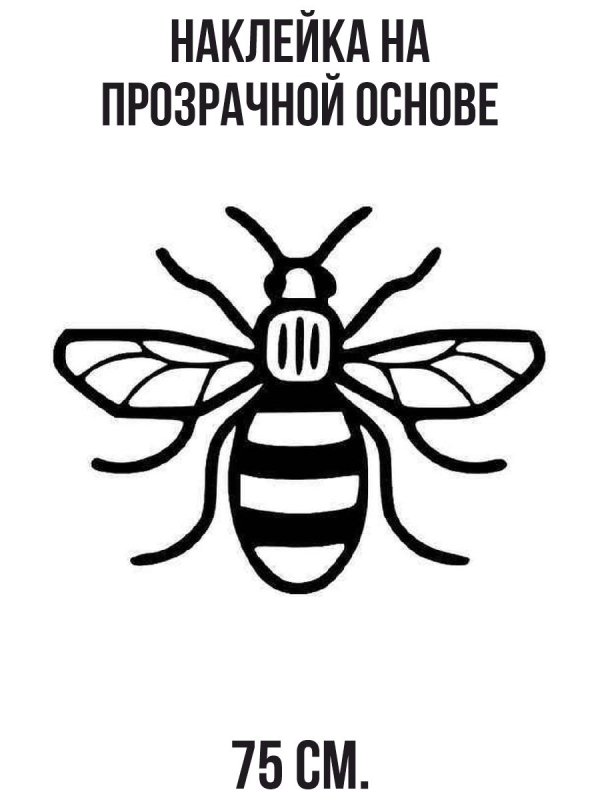 Пчела абхазянка