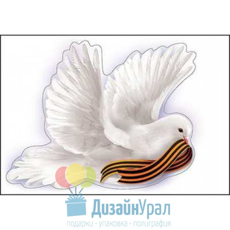 Голубь с георгиевской лентой