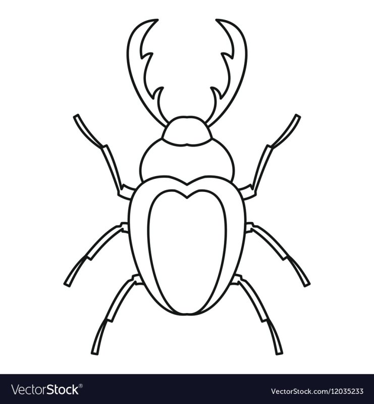 Жук олень раскраска