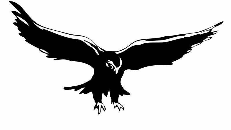 Силуэты хищных птиц в полете