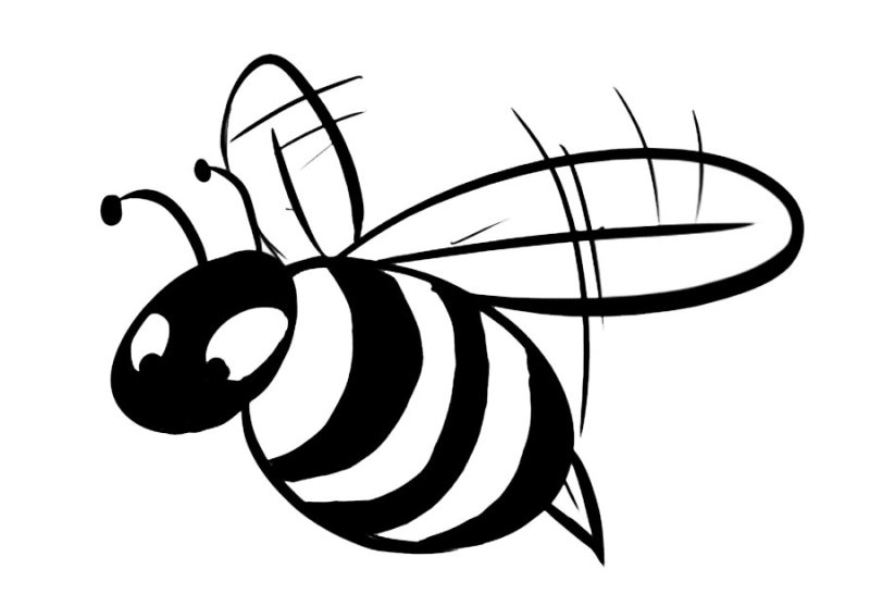 Раскраска пчёлка для детей