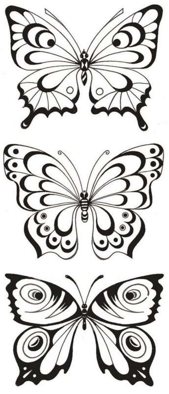 Трафареты бабочек для декора