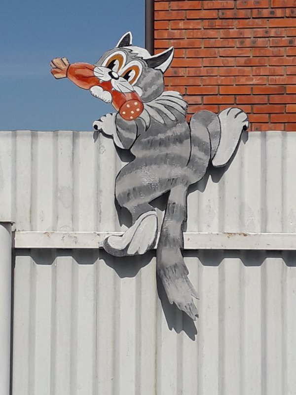 Коты на заборе