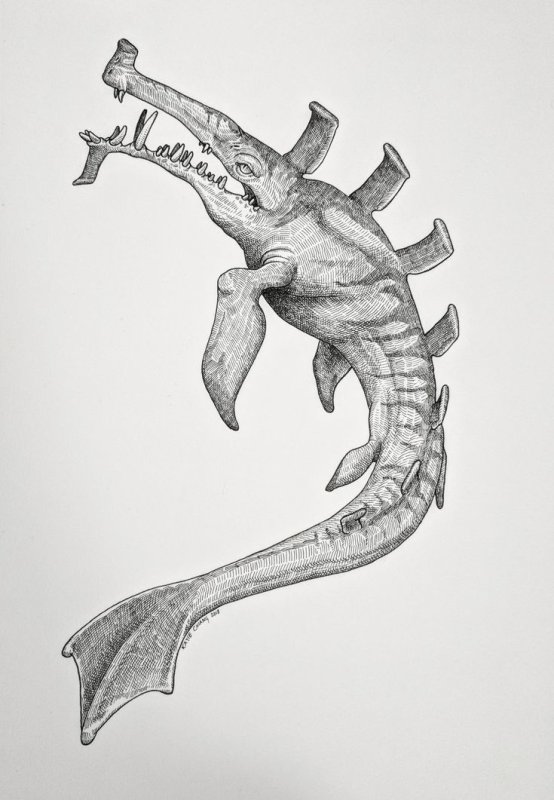 Раскраска Левиафан субнаутика