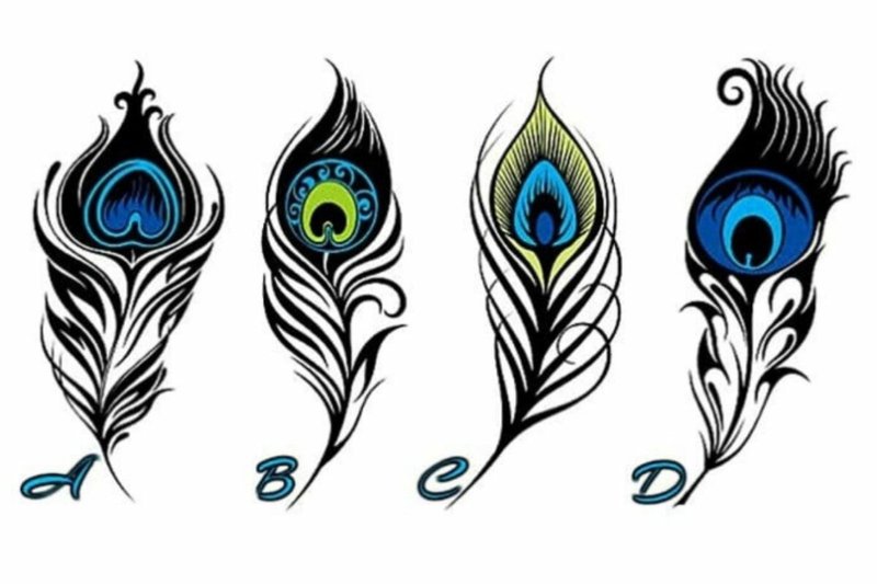 Перо павлина