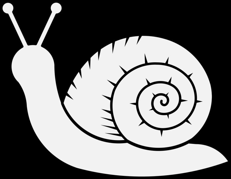 Улитка раскраска для малышей