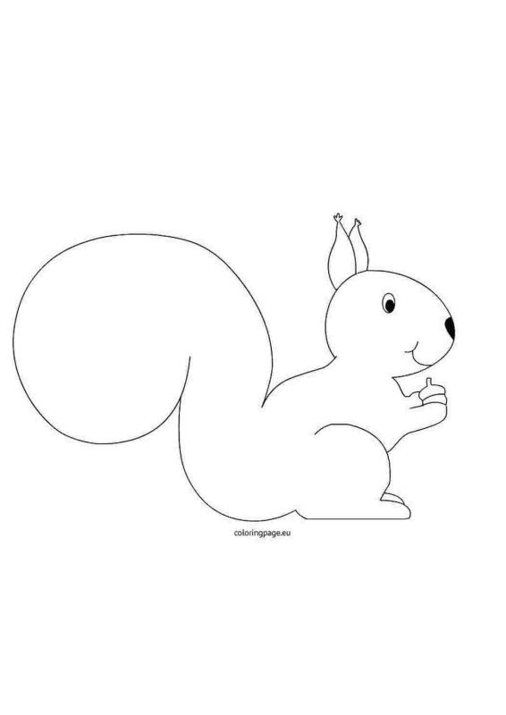 Белочка шаблон для вырезания