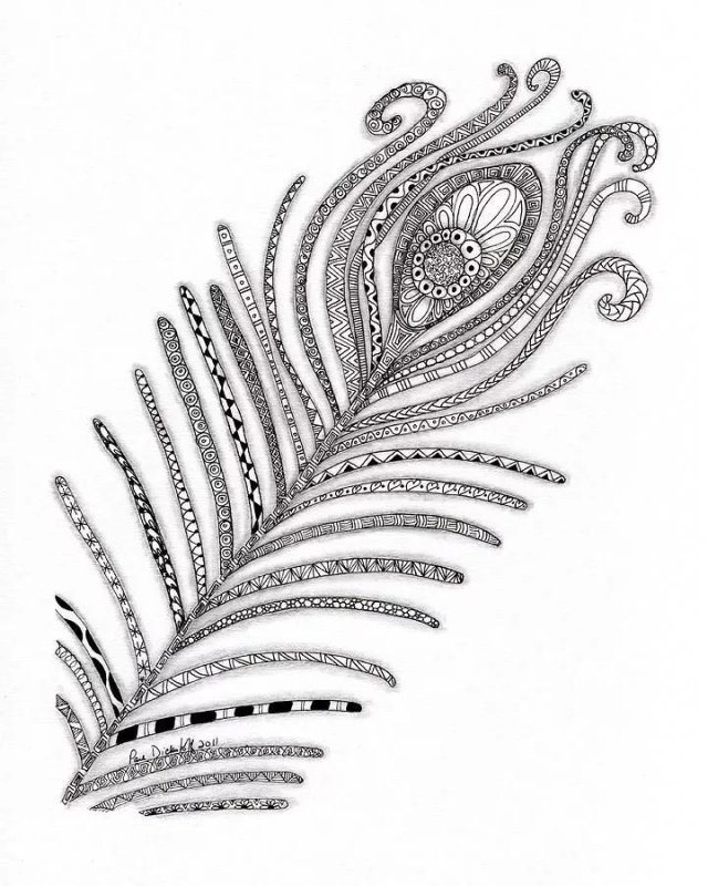 Перо Жар птицы Зентангл