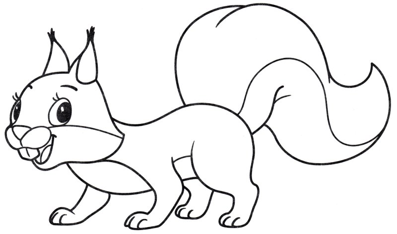 Белочка раскраска для малышей