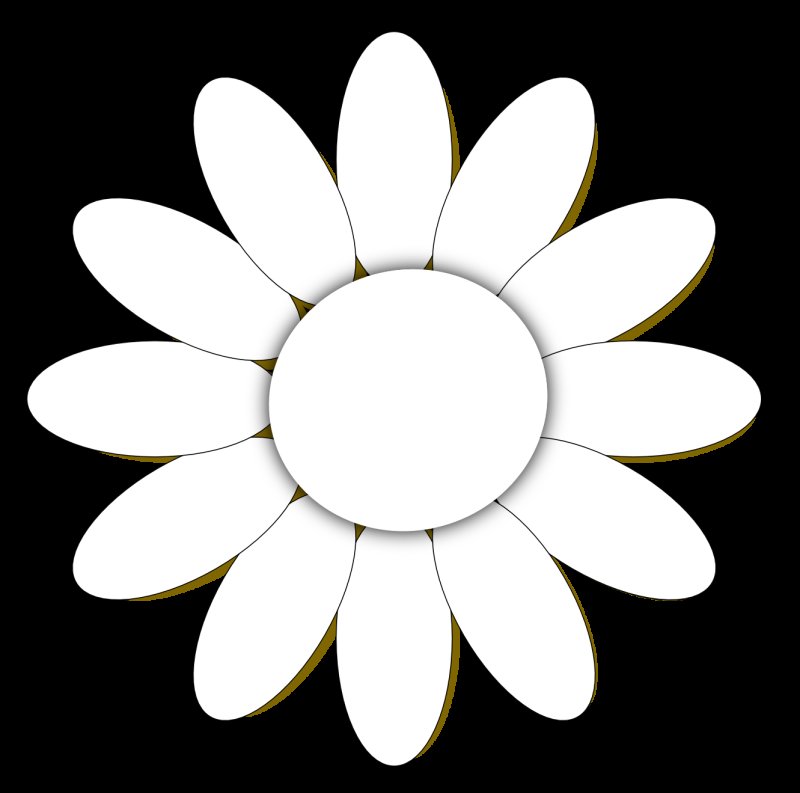 Цветок Ромашка контур