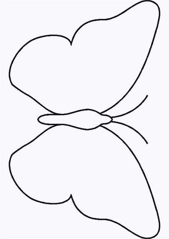 Шаблон бабочки