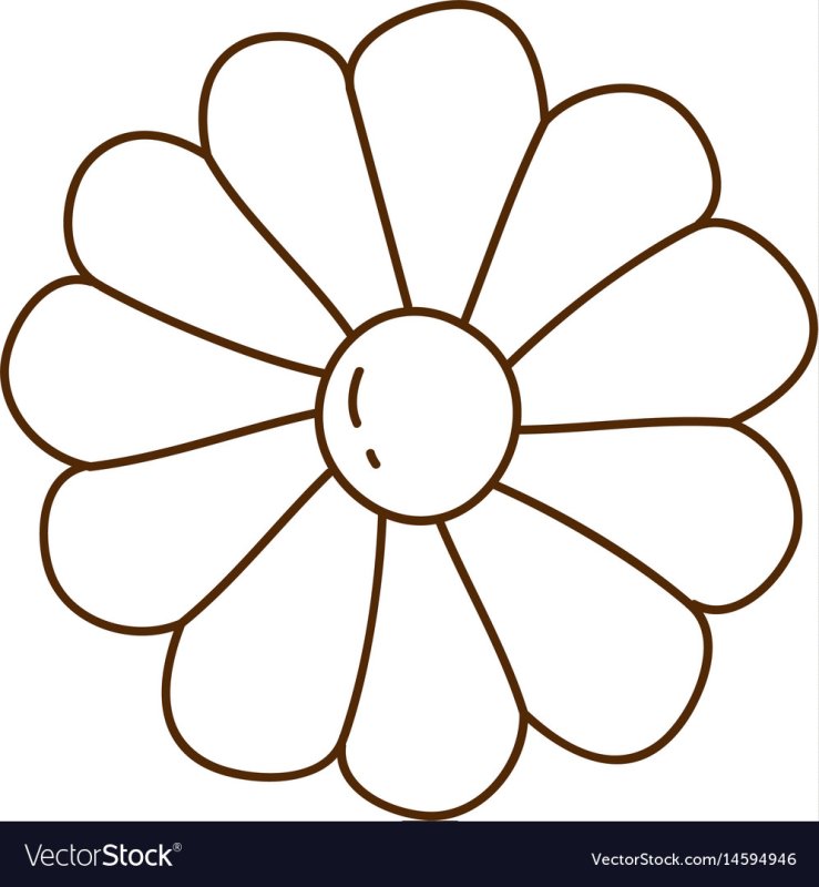 Раскраски для малышей. Ромашка