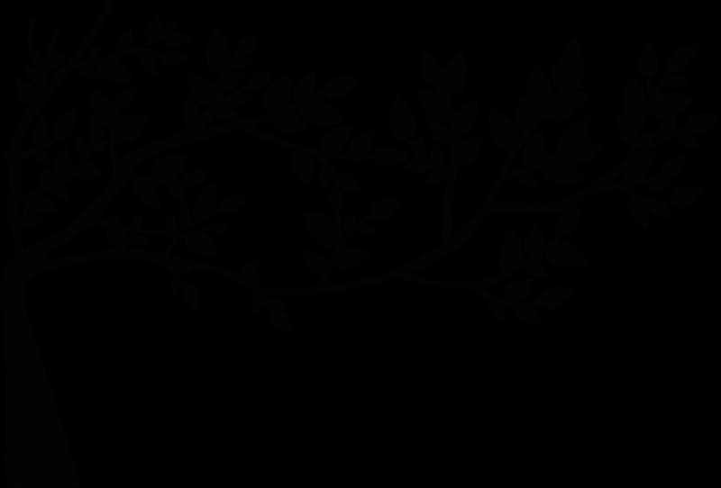 Веточка дерева