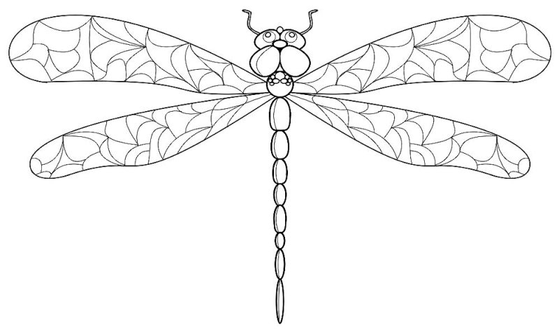 Стрекоза раскраска для детей