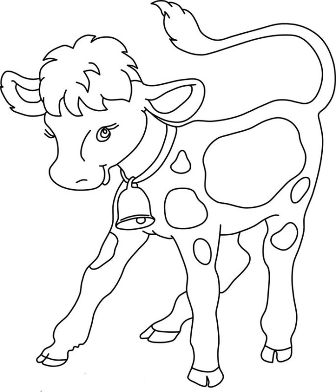 Раскраска корова