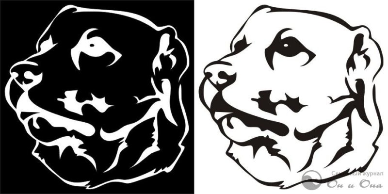 Оскал среднеазиатской овчарки