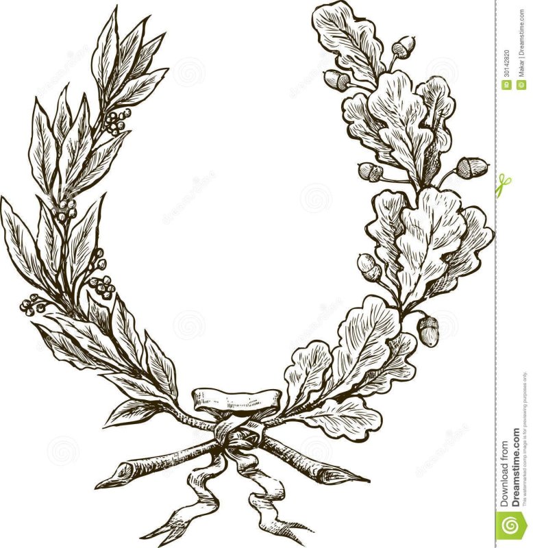 Дубовая ветвь в геральдике