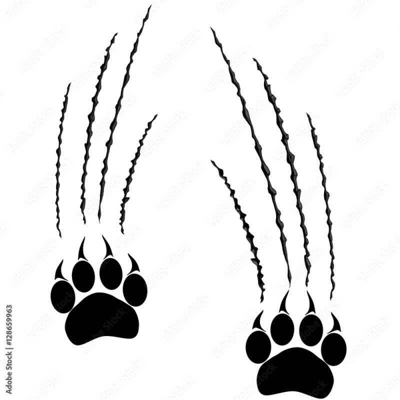 Отпечаток лапы Льва