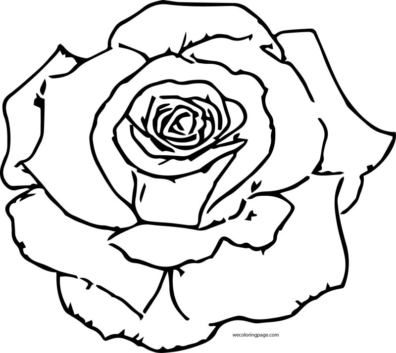 Роза раскраска для детей