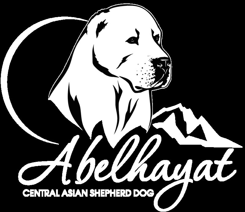 Среднеазиатская овчарка