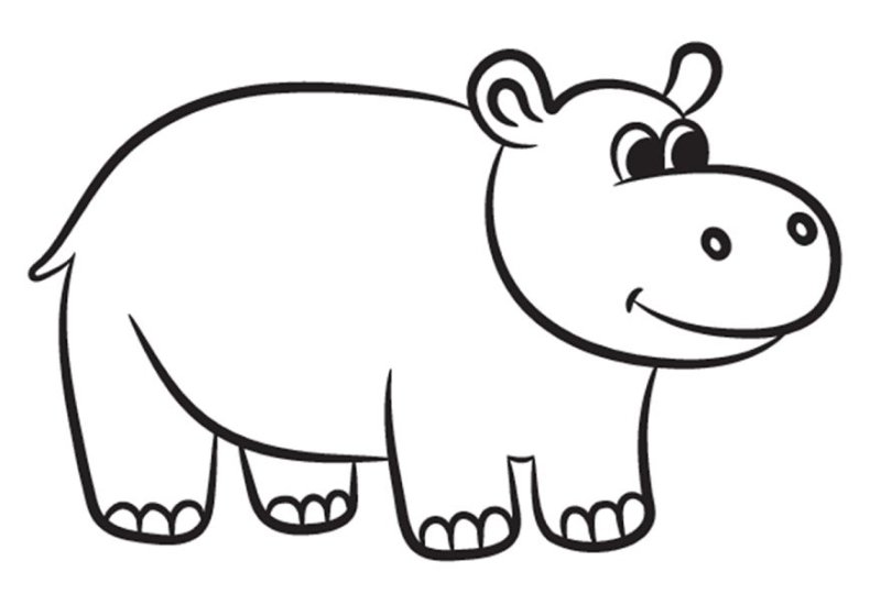 Бегемот раскраска для детей