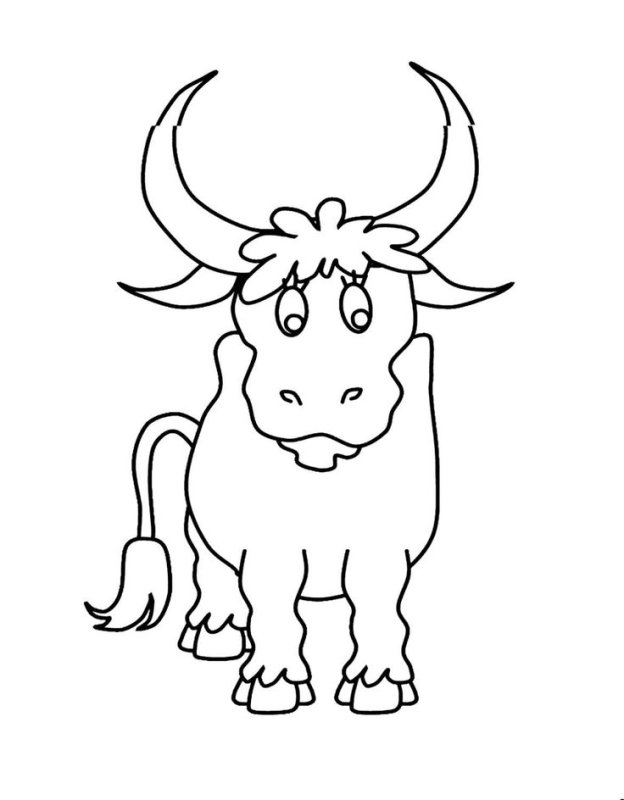 Бык раскраска