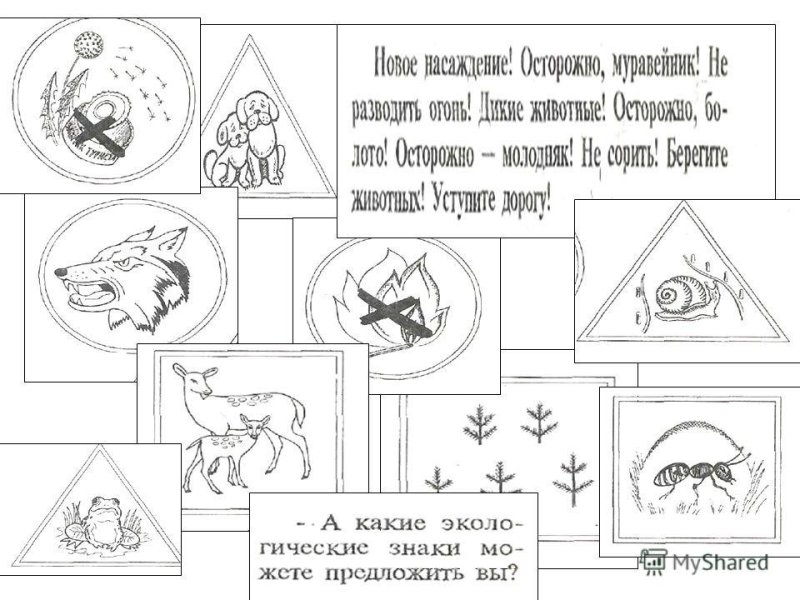 Берегите животных раскраска