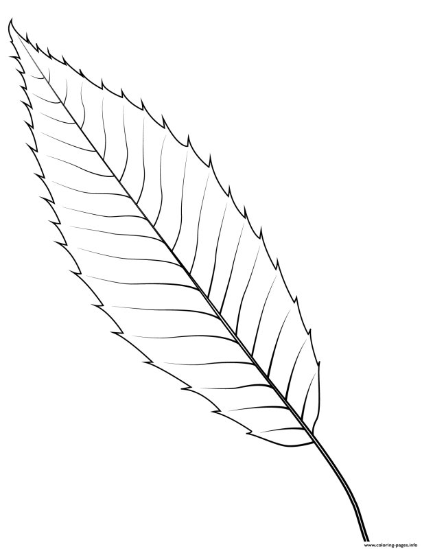 Листик раскраска