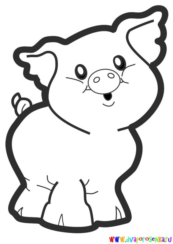 Свинья раскраска для детей