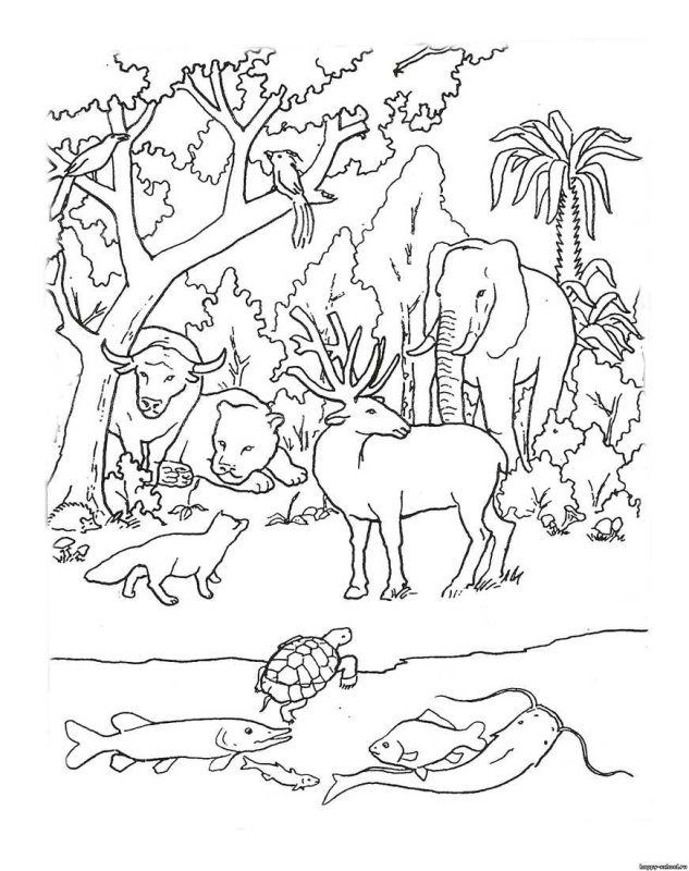 Раскраски животный мир для детей