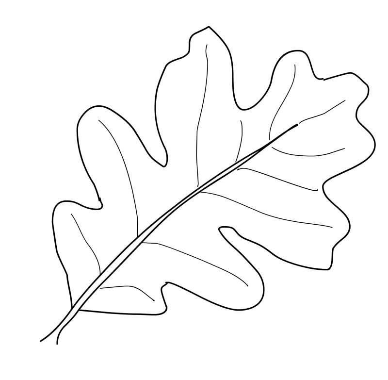 Листья раскраска для детей